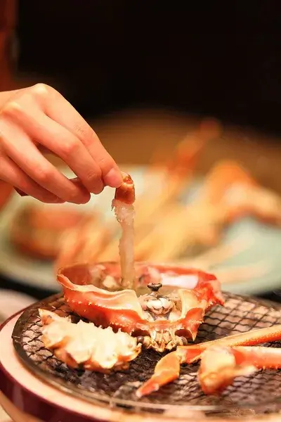 黒部・宇奈月温泉 桃源（宇奈月温泉郷）（黒部市）-1