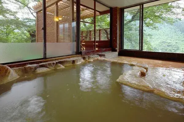 鳥越の宿 三楽園（庄川温泉郷）（砺波市）-3