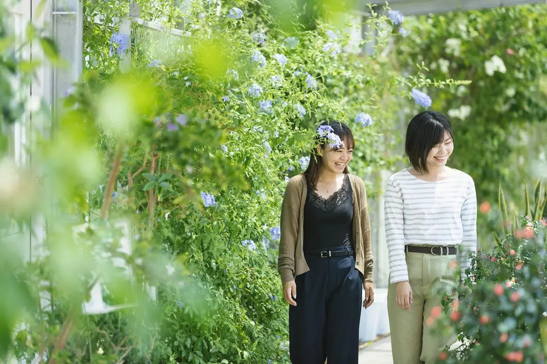 Be Healed by Rare Plants at Himi Seaside Park-0