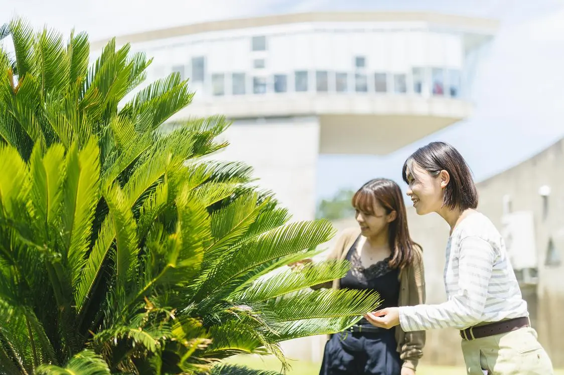 Be Healed by Rare Plants at Himi Seaside Park-1