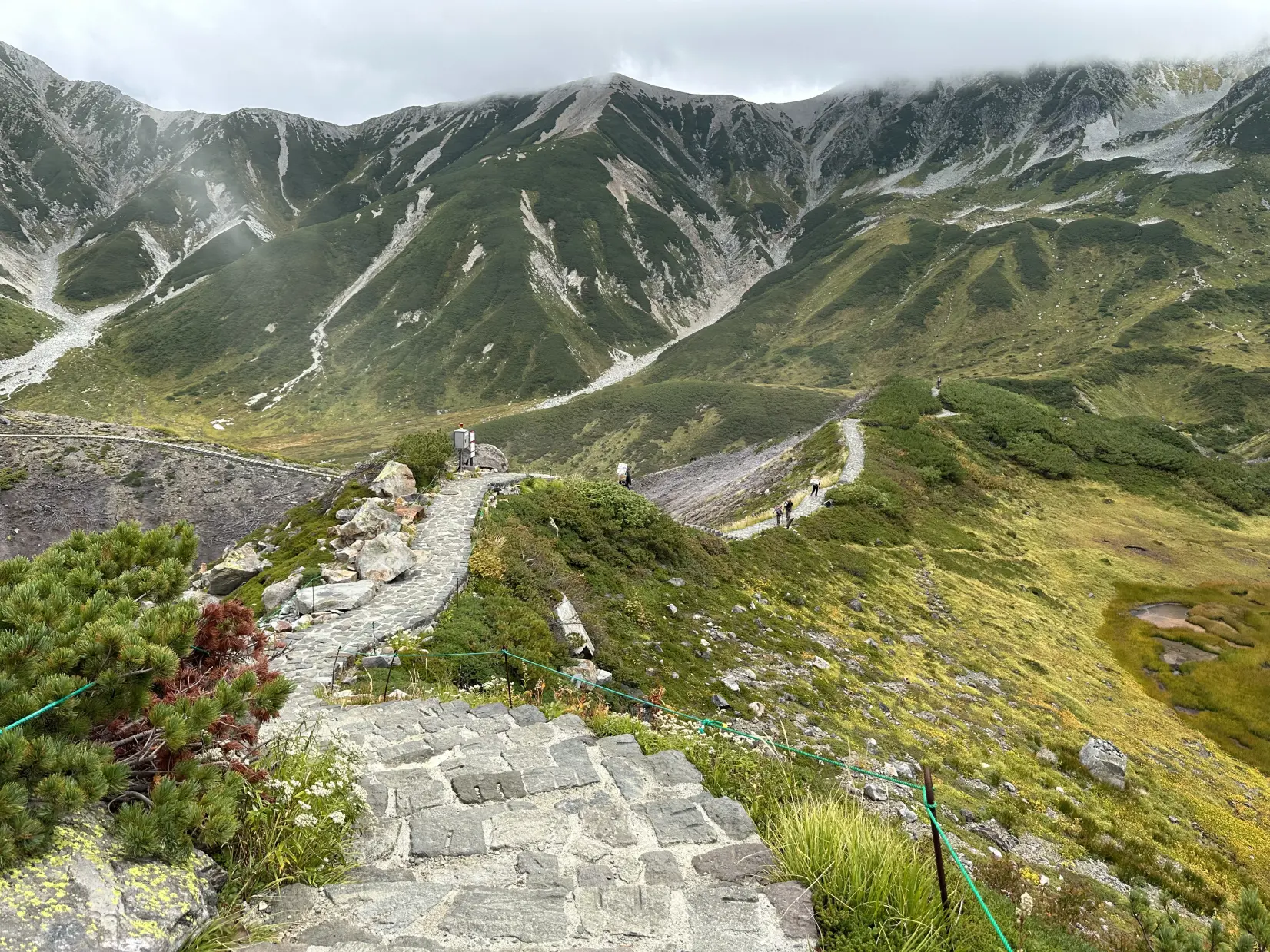 A Beautiful Journey to a Mystical World-1