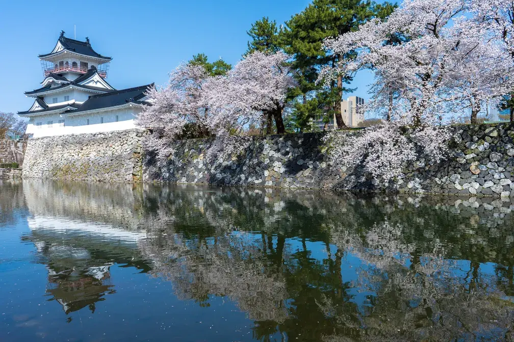 富山城の春-0