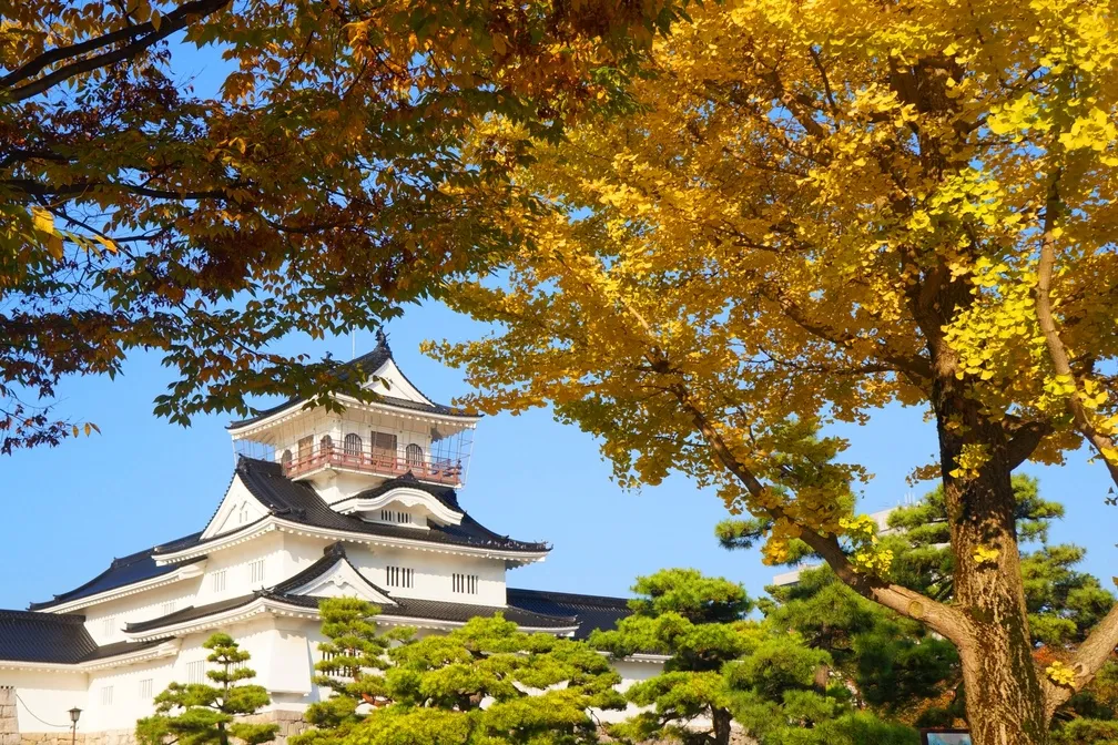 富山城の秋-0