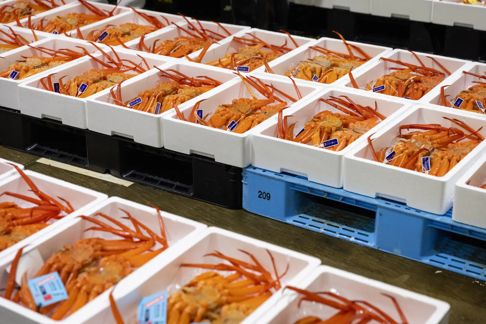 魚津のかにを楽しむ３つのポイント-0