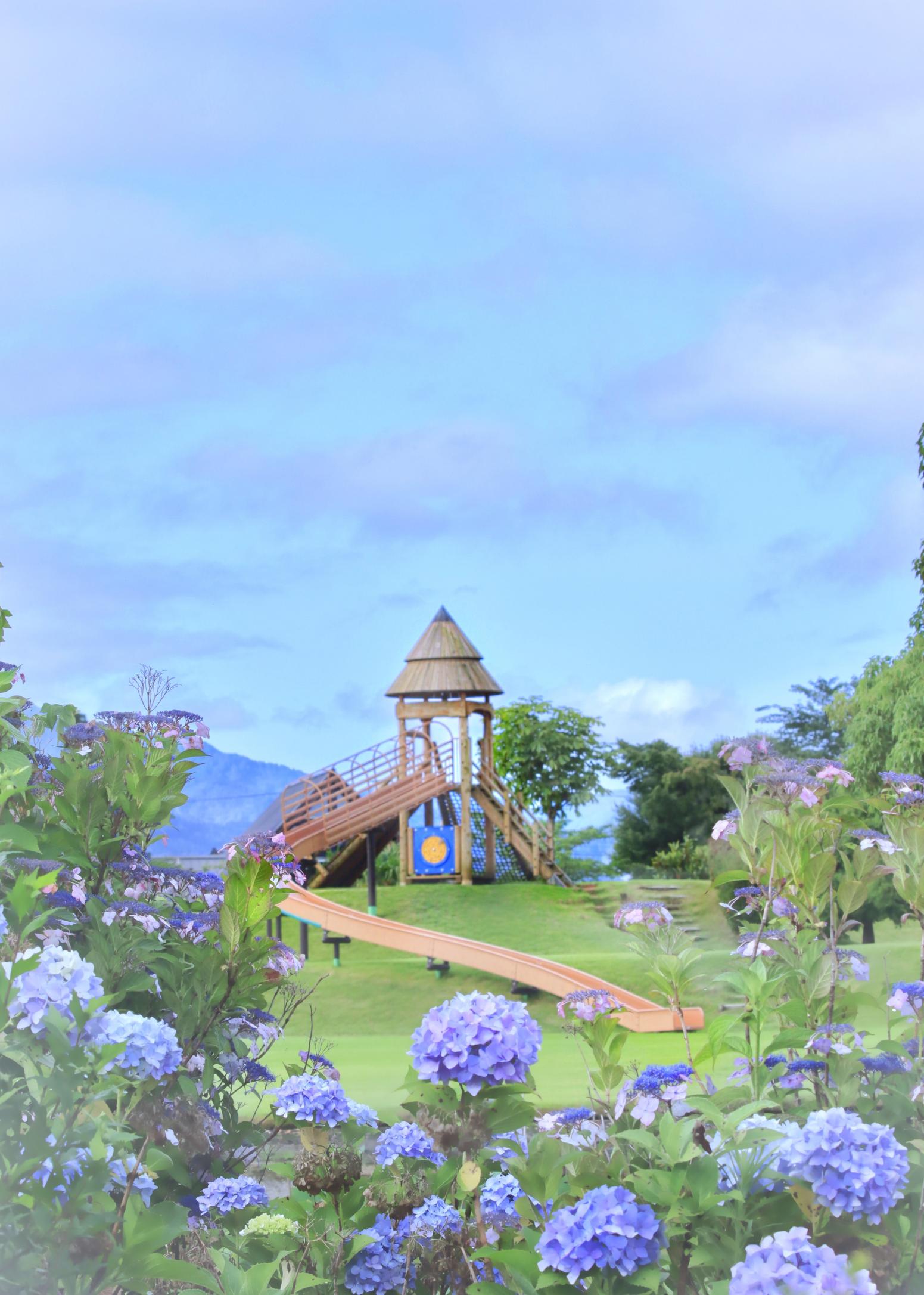 朝日町歴史公園「あじさい滑り台」-0