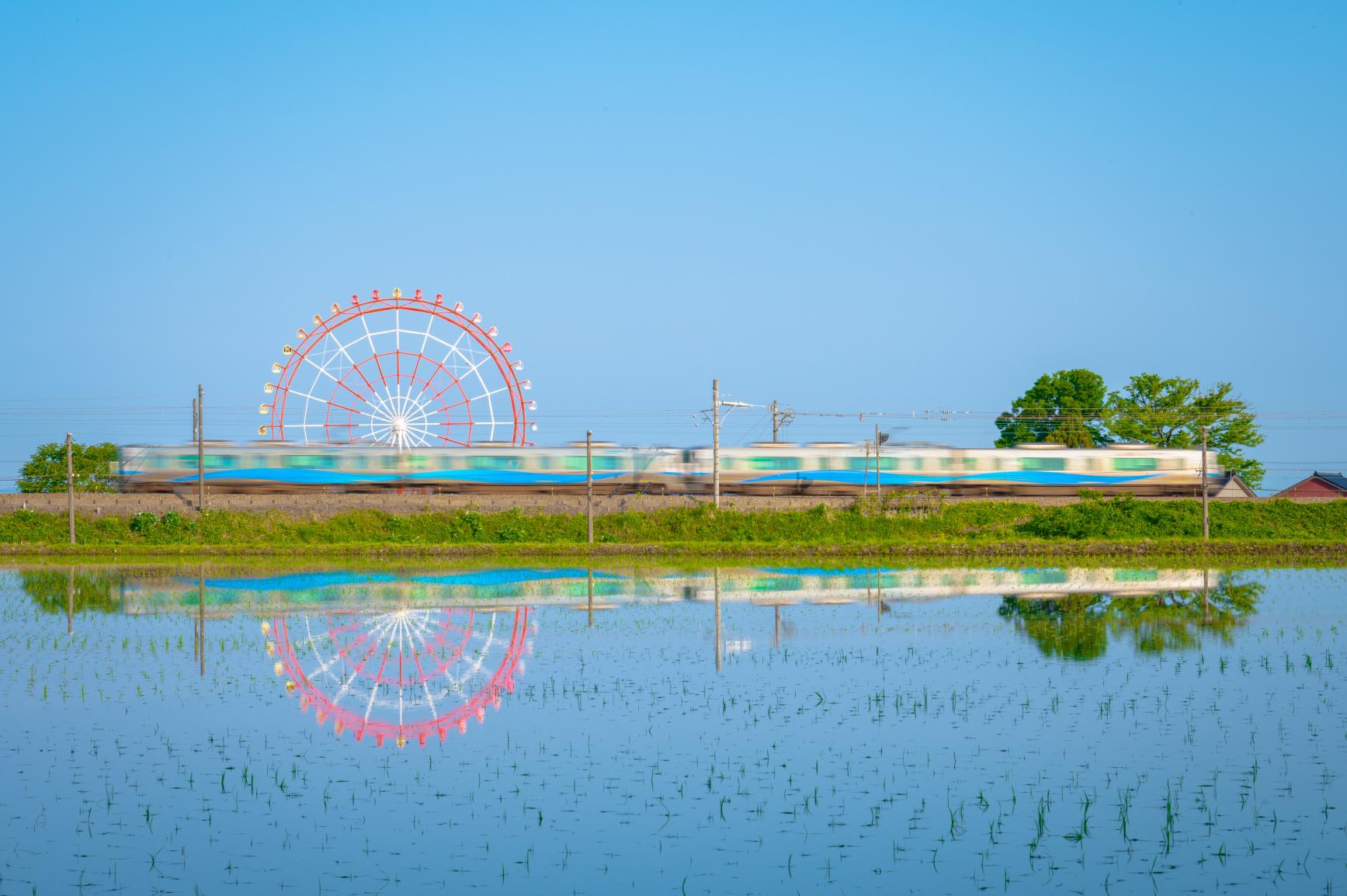 魚津市　廻り道の水田と観覧車-0