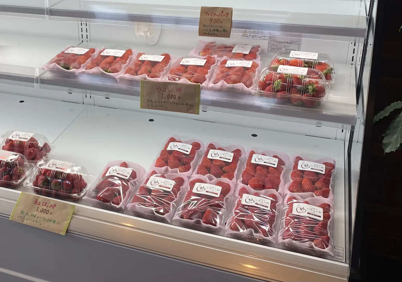 高級品種にも負けない自信-0