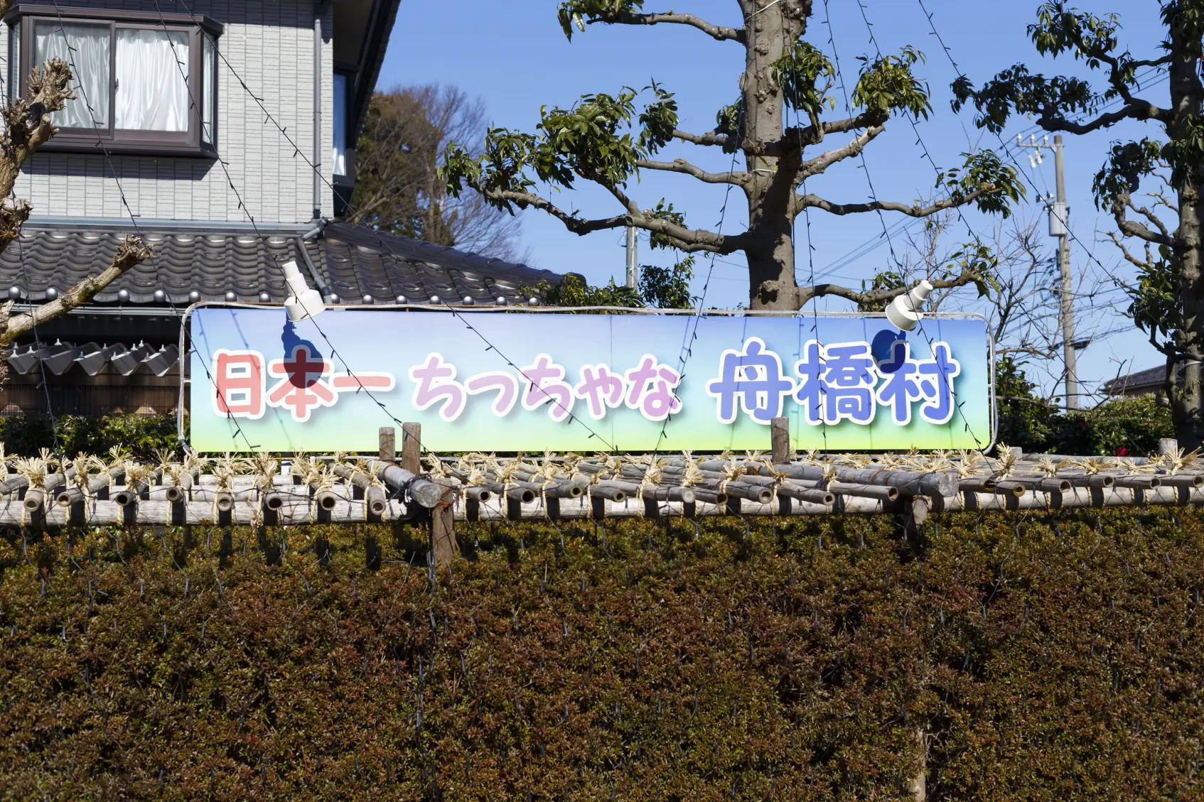 ちいさな村のちいさなお店-1