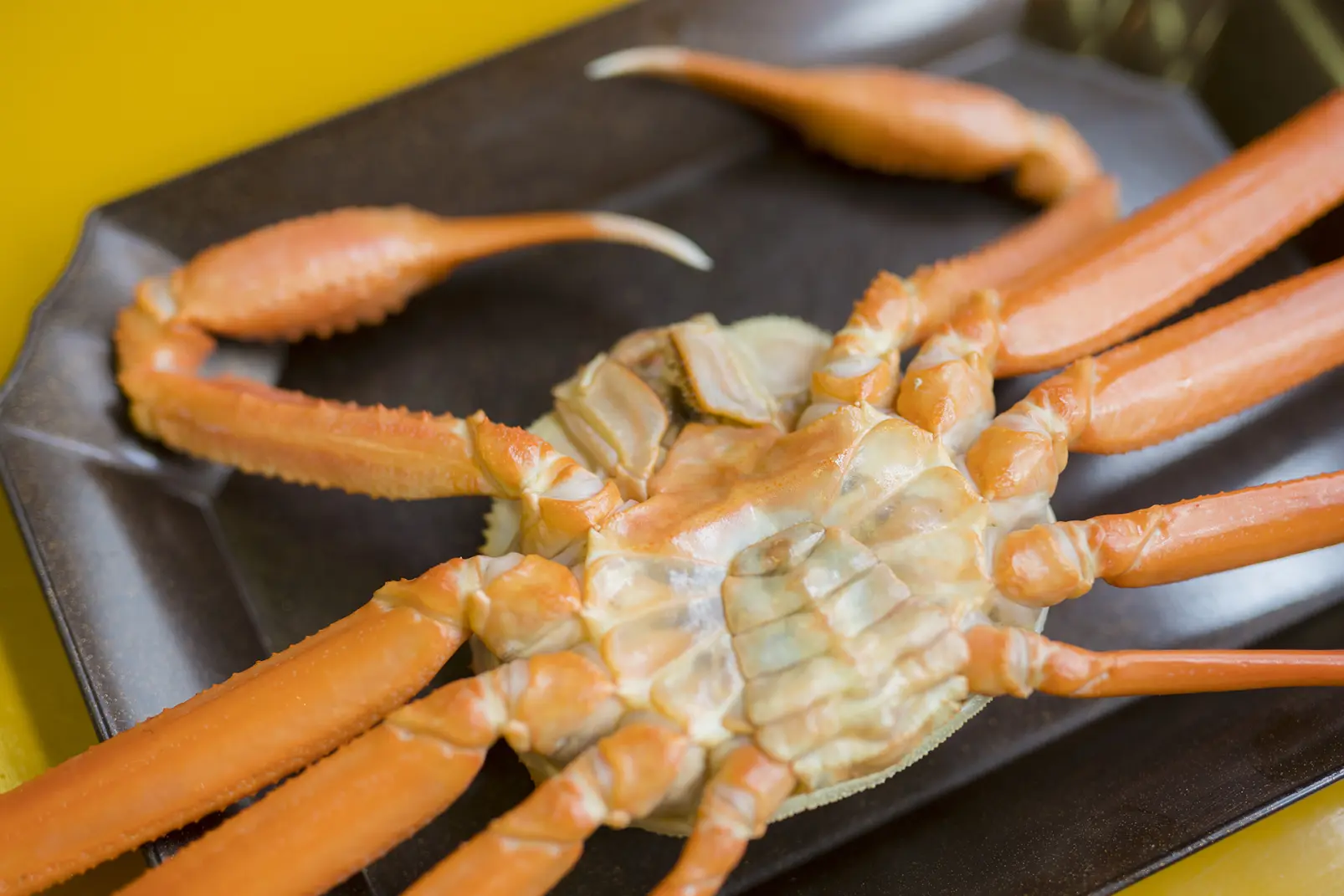 おいしい食べ方を確認していると、紅ズワイガニが茹で上がった-1