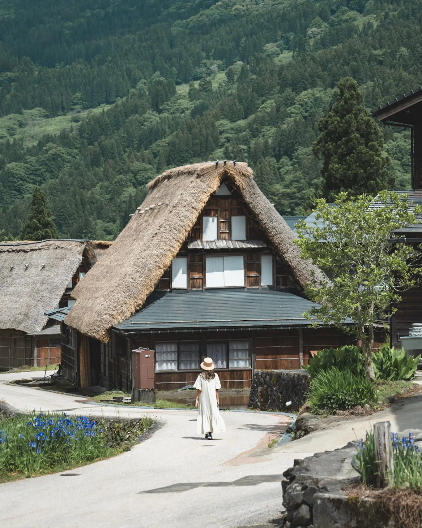 世界文化遺産 五箇山合掌造り集落（南砺市）-0