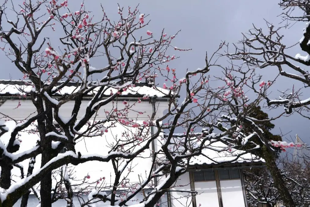 Uchiyama Residence - Toyama Prefecture Civic Center Annex (เมืองโทยามะ)-4