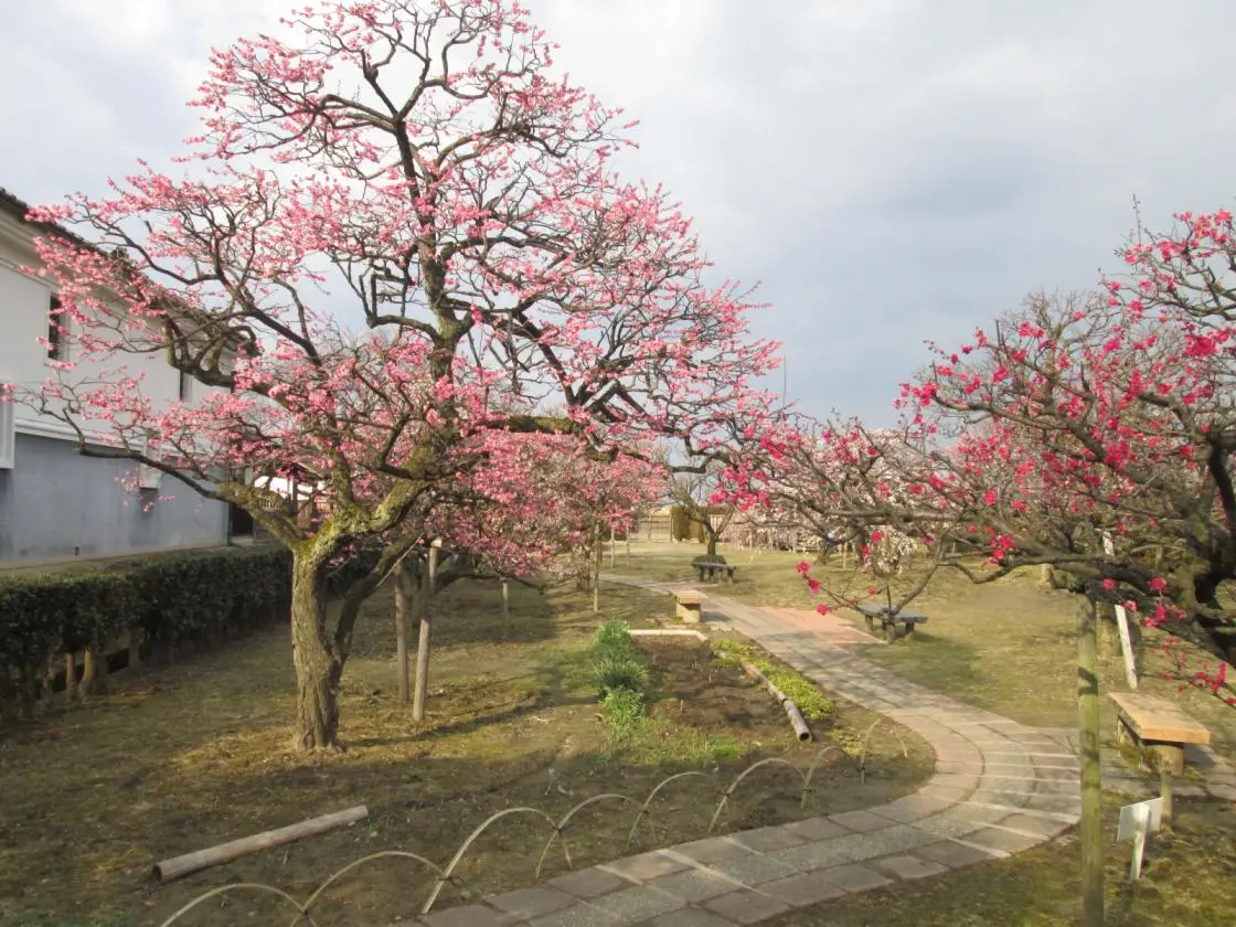 Uchiyama Residence - Toyama Prefecture Civic Center Annex (เมืองโทยามะ)-2