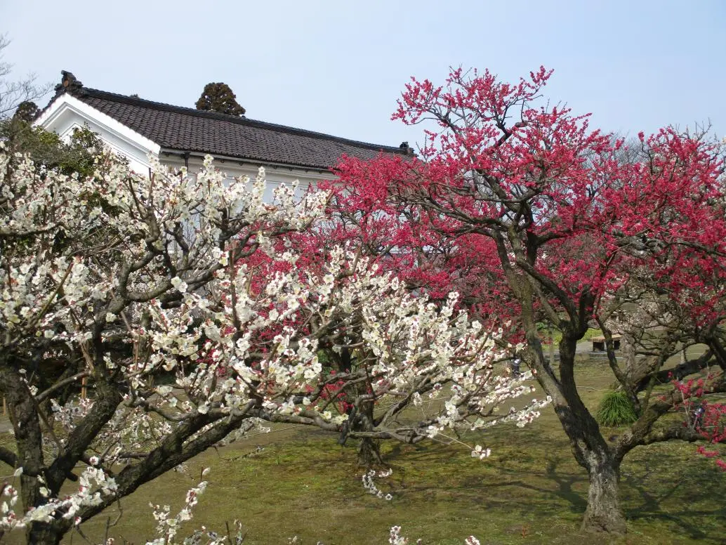 Uchiyama Residence - Toyama Prefecture Civic Center Annex (เมืองโทยามะ)-0