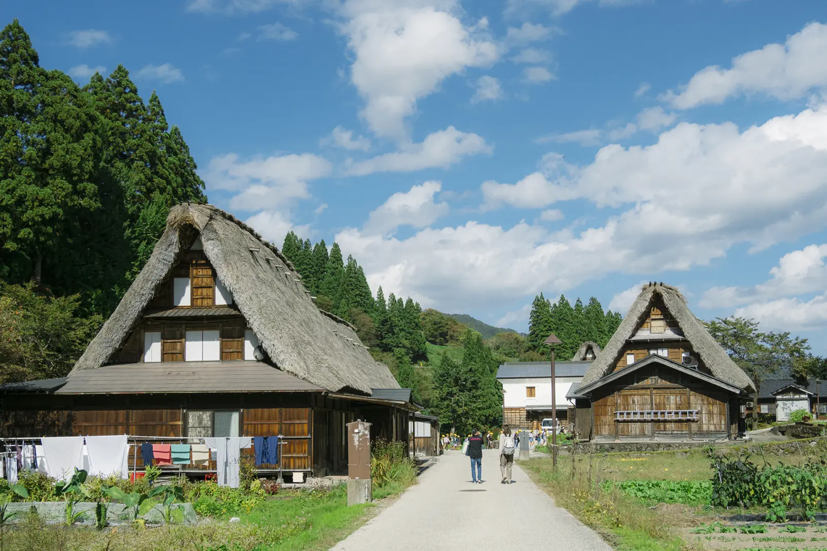 相倉合掌造り集落を、「五箇山案内人」のガイドで歩く-7