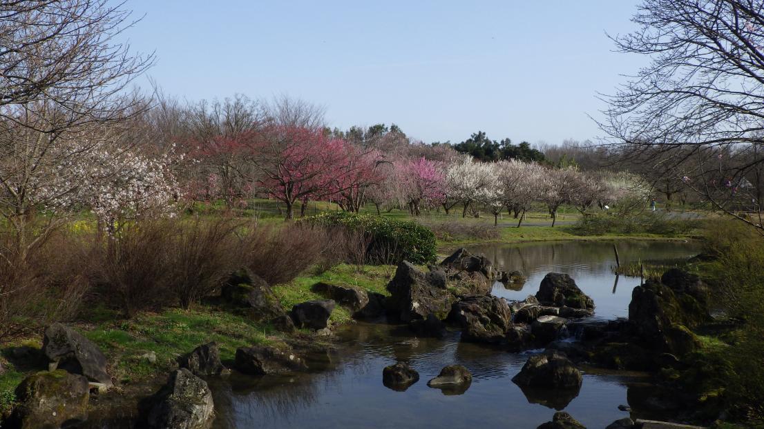 도야마현 중앙식물원(도야마시)-3