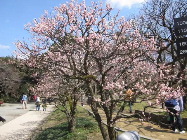 สวนสาธารณะทาคาโอกะโคโจ (เมืองทาคาโอกะ)-1