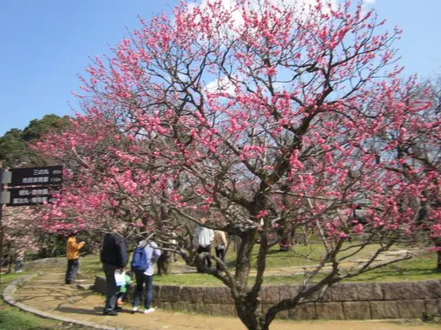 สวนสาธารณะทาคาโอกะโคโจ (เมืองทาคาโอกะ)-4