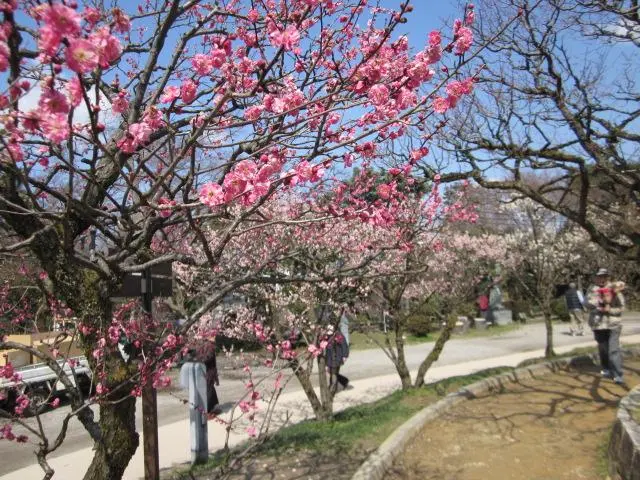 สวนสาธารณะทาคาโอกะโคโจ (เมืองทาคาโอกะ)-2