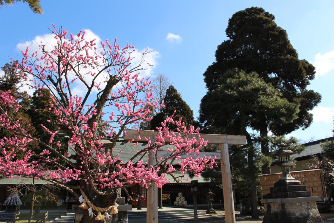 ศาลเจ้าอิมิซุ (ภายในสวนสาธารณะทาคาโอกะโคโจ)-0