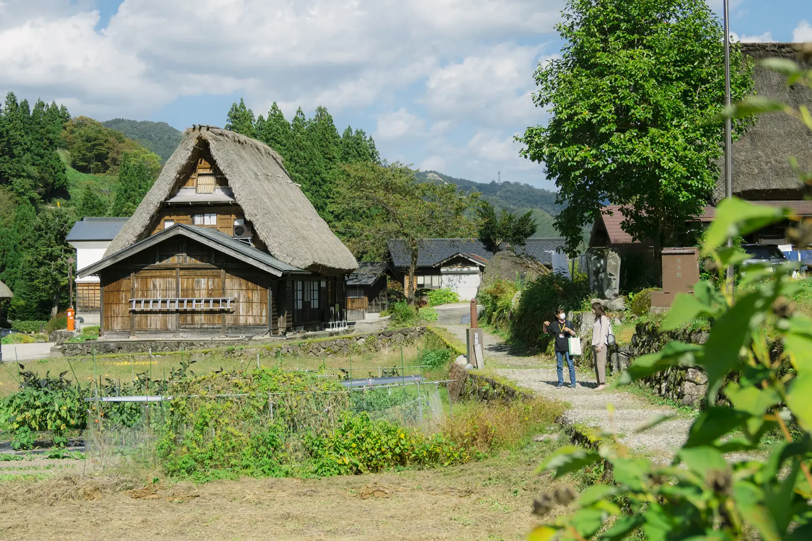 「合掌造り」と言っても、それぞれの家屋に特徴がある-5