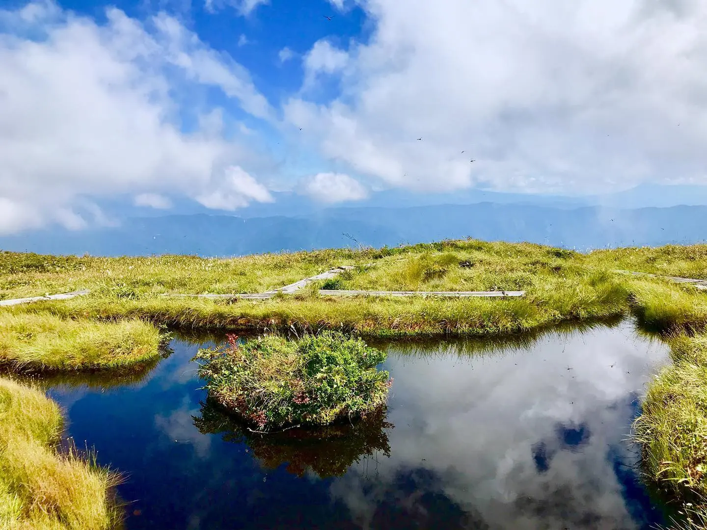 -0