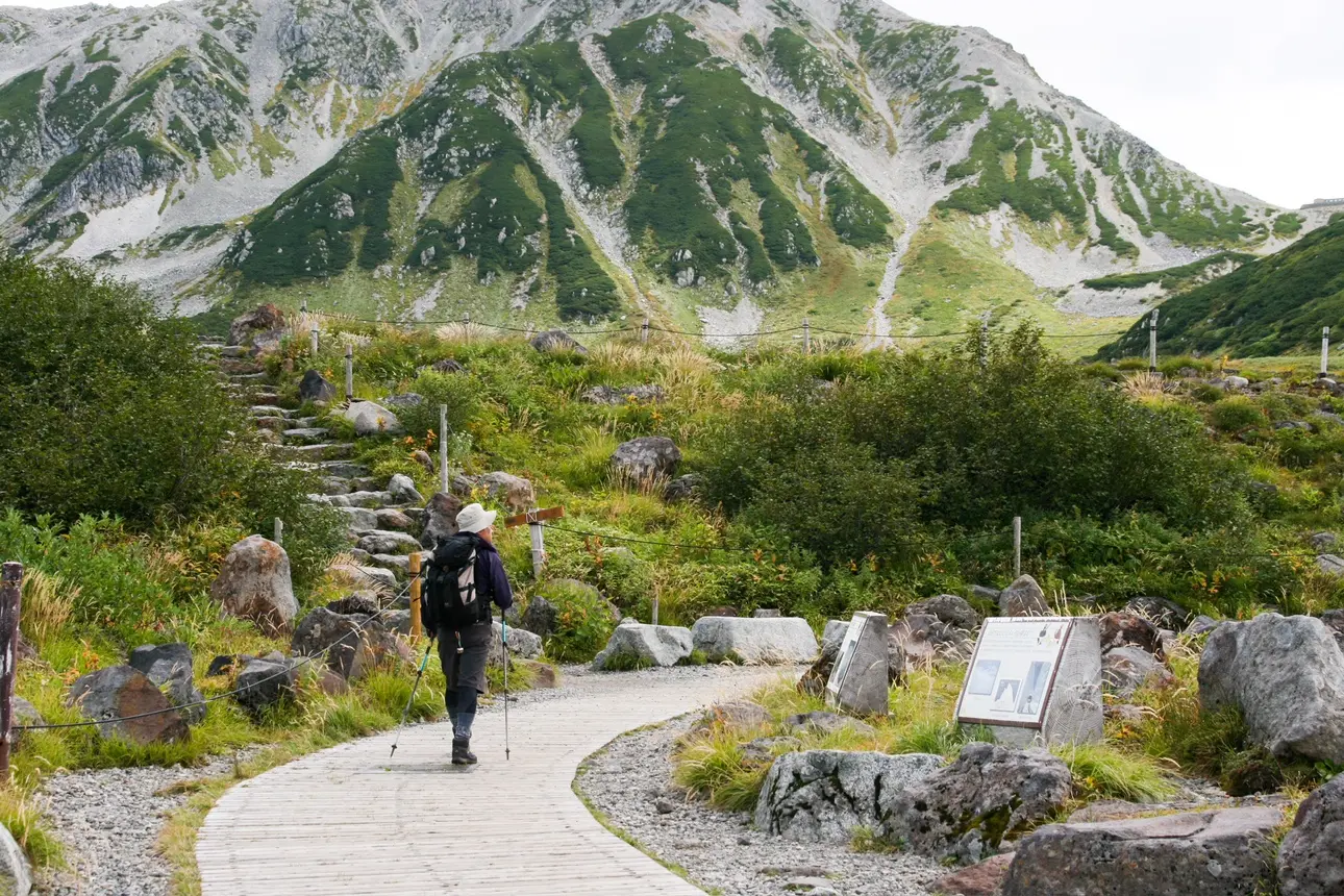 ที่ตั้งแคมป์พร้อมทิวทัศน์อันงดงามของเทือกเขาทาเตยามะ:Raichosawa Camping Ground-1
