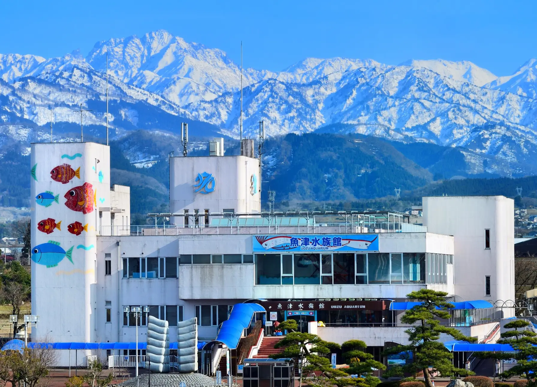 Uozu Aquarium: the longest-operating aquarium in Japan-1