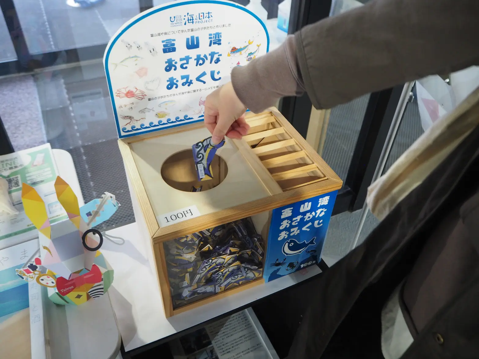 Have Fun Learning About Toyama's Popular Winter Delicacy, Himi Kanburi (Himi Winter Yellowtail)-0