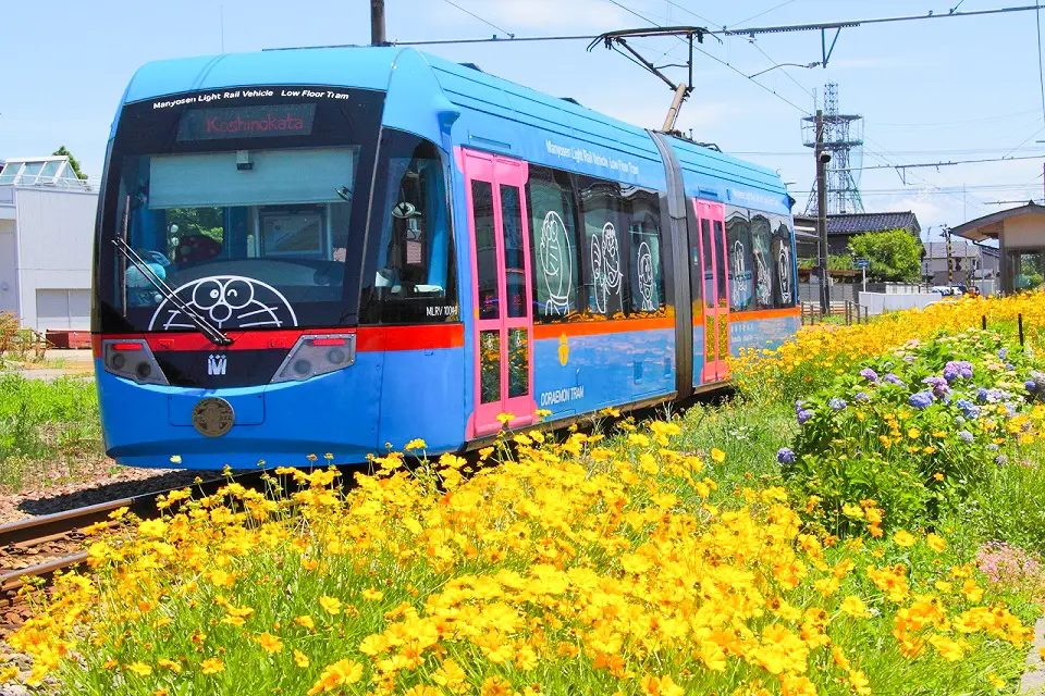 A Tram Featuring Everyone's Favorite Character!-0