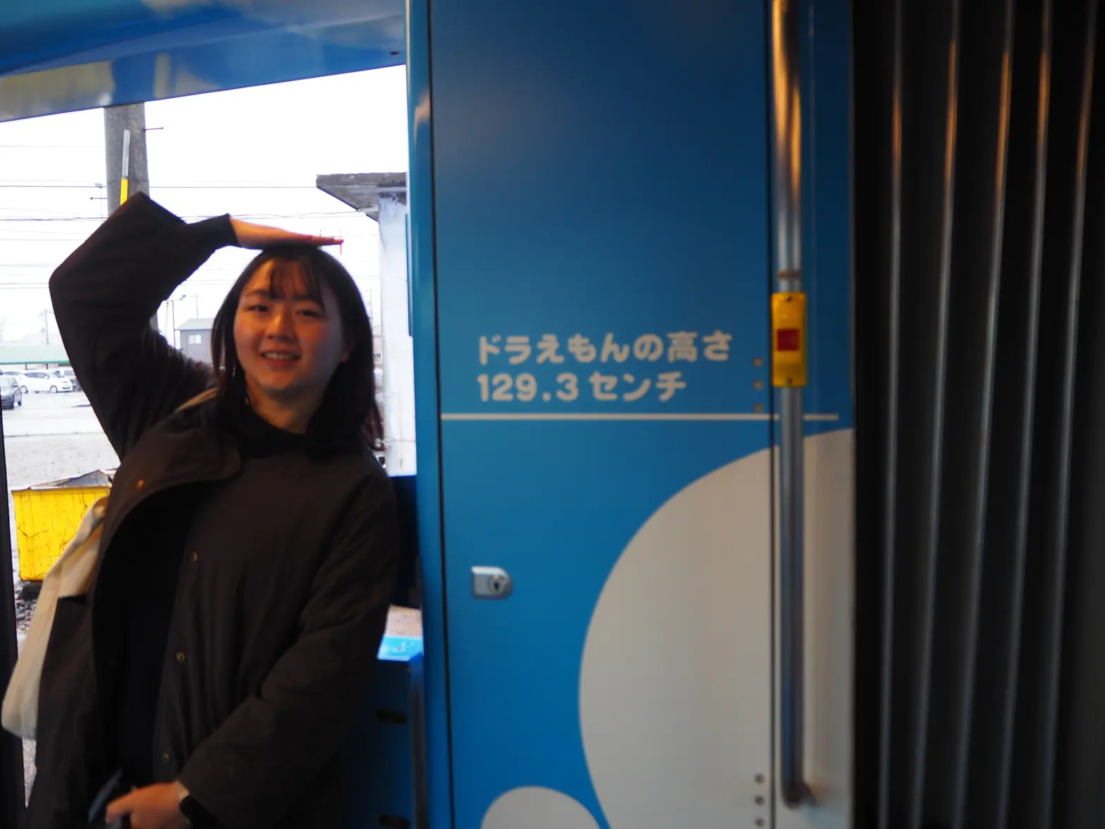 A Tram Featuring Everyone's Favorite Character!-4