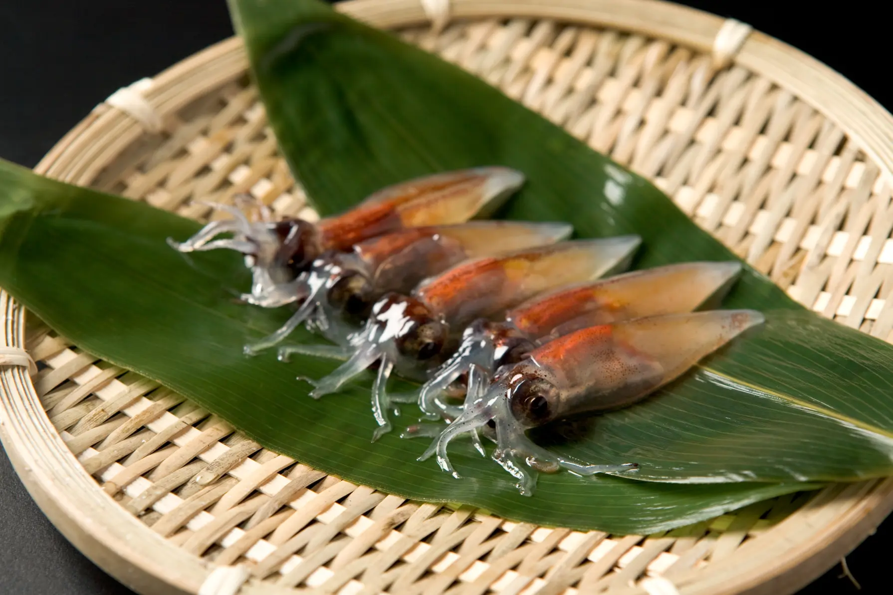 天然の生け簀　富山湾のとれたて新鮮（きときと）な魚介！-1