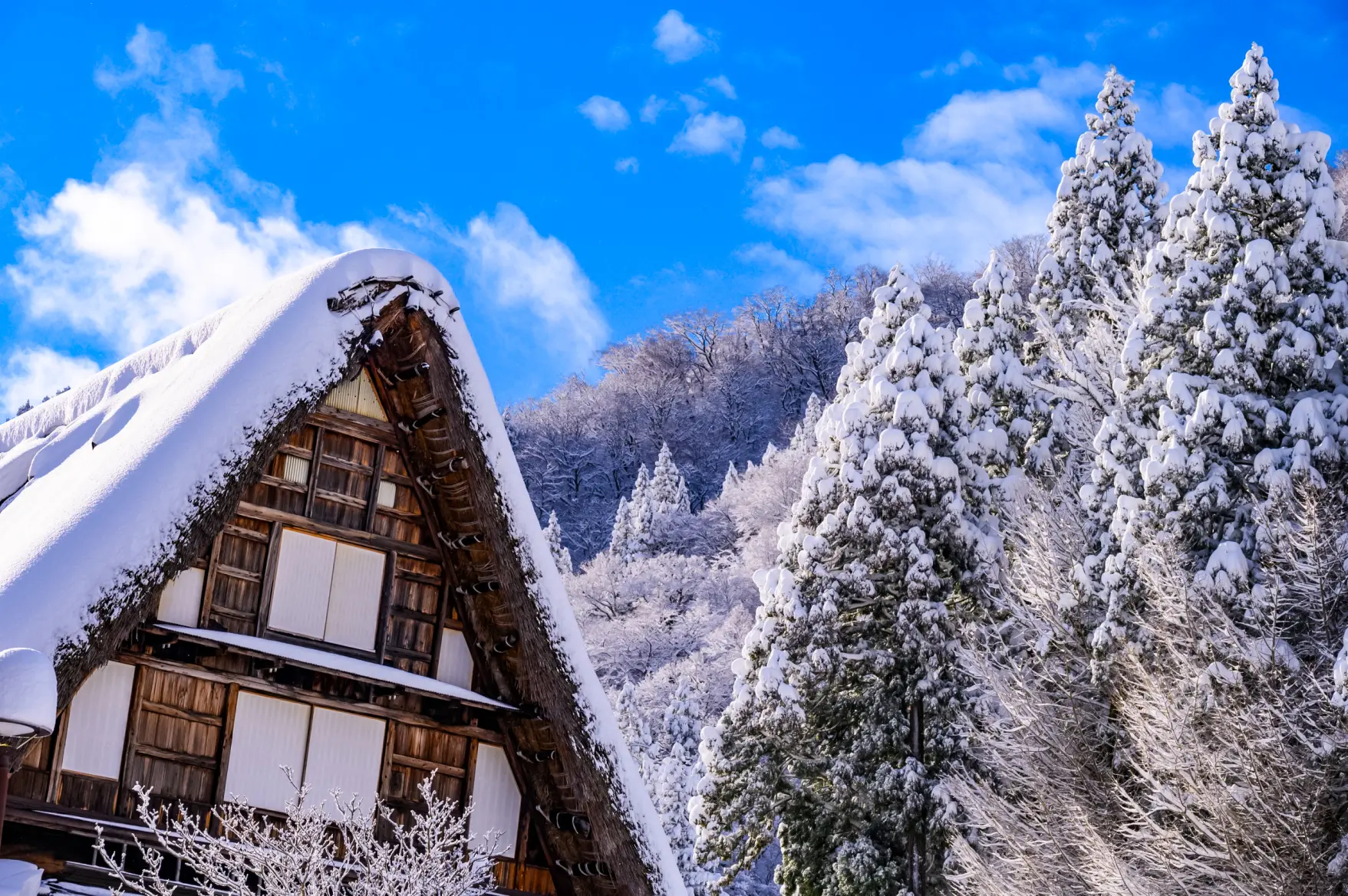 The World Heritage Site "Gokayama" is Most Beautiful in Winter-1