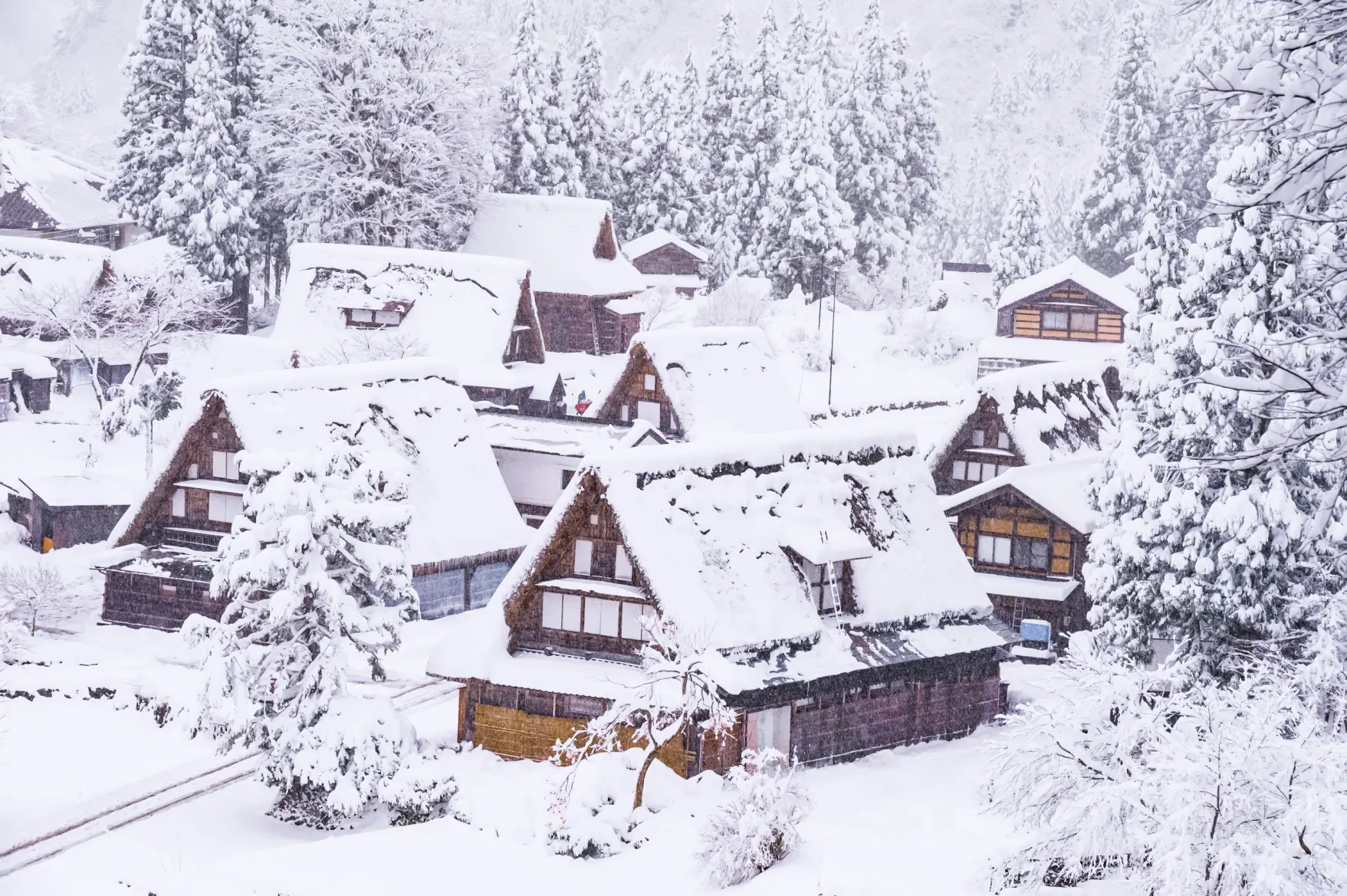 The World Heritage Site "Gokayama" is Most Beautiful in Winter-0