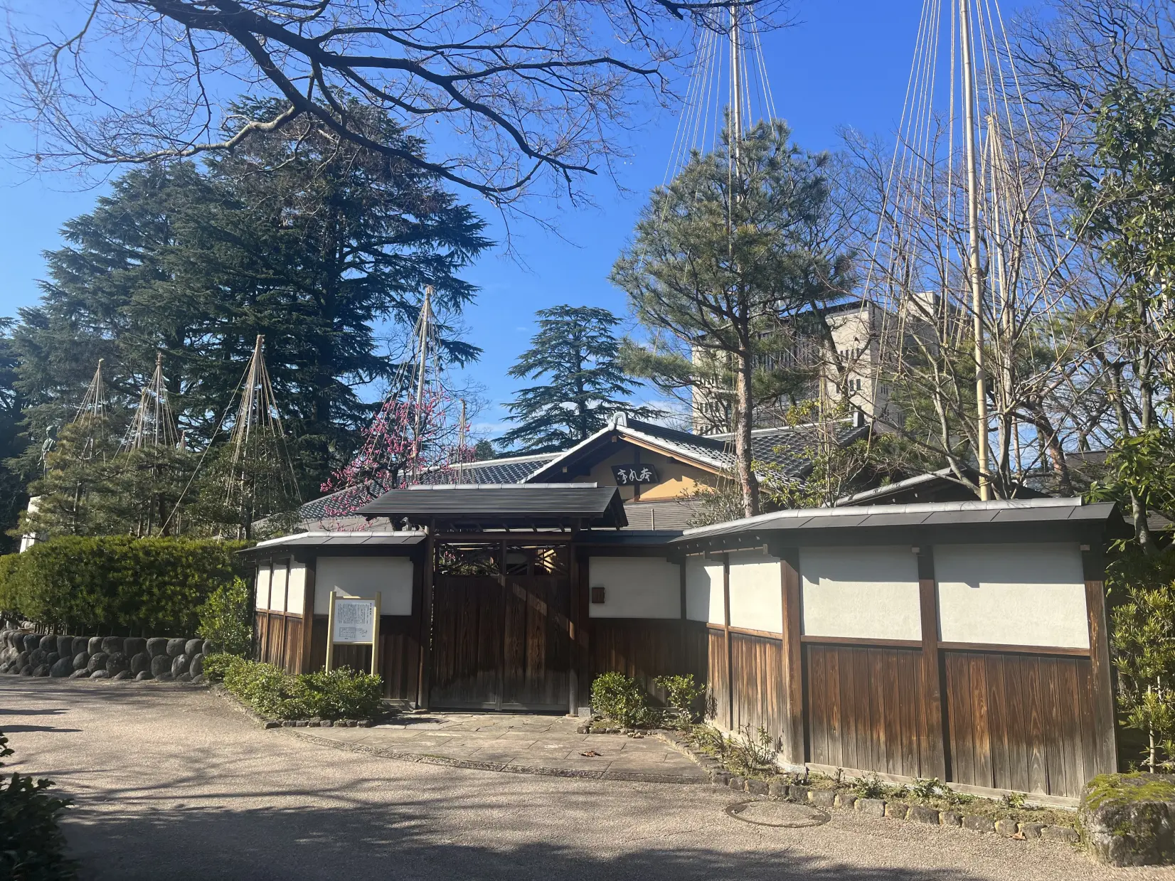 Enjoy the Contrast of Toyama Castle and the Snow-4
