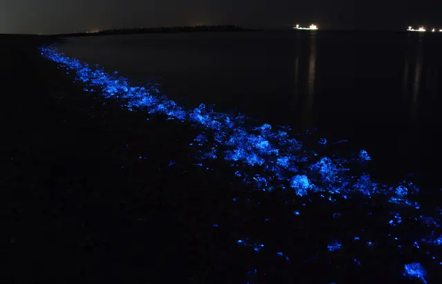神秘の海・富山湾の幻想美-1