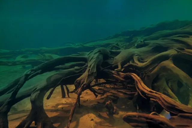 神秘の海・富山湾の幻想美-2