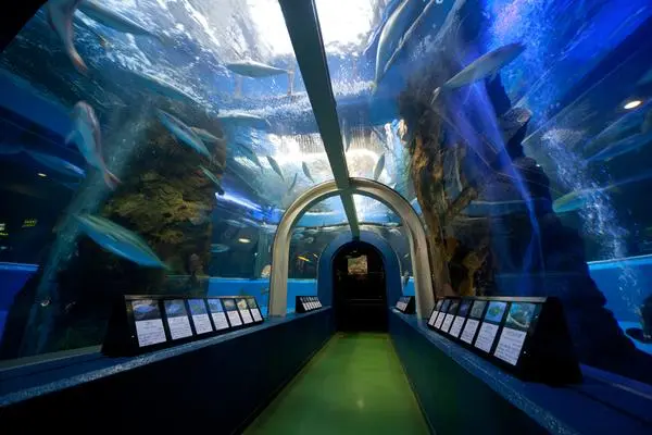 遊園地と水族館で１日満喫の旅を（ミラージュランド）-1