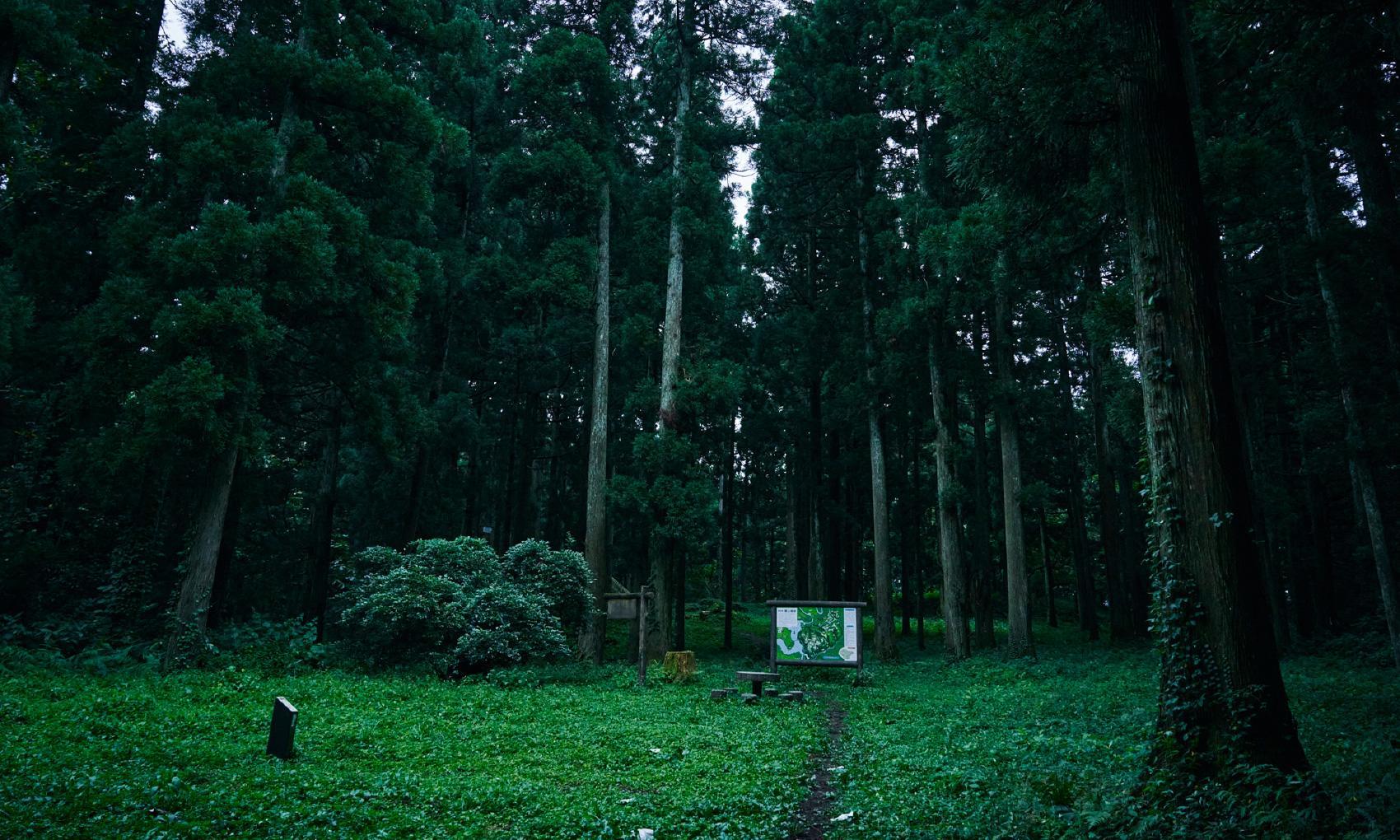 まだまだ知られていない砺波の魅力を発信-1