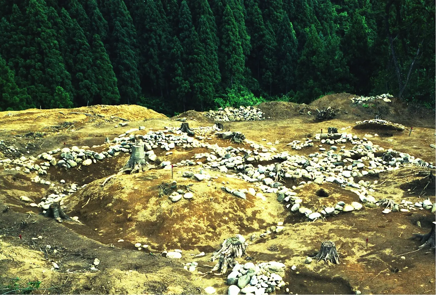 上市黒川遺跡群-0
