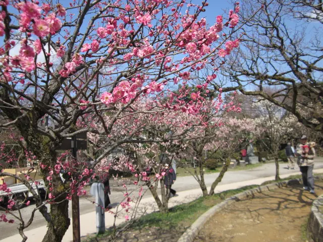 高岡古城公園（高岡市）-2
