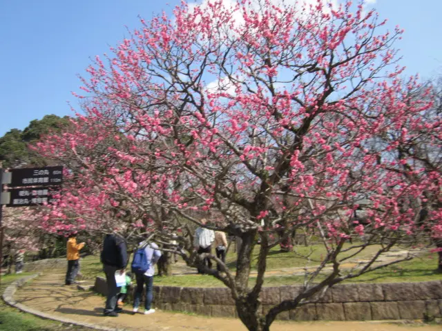 高岡古城公園（高岡市）-4