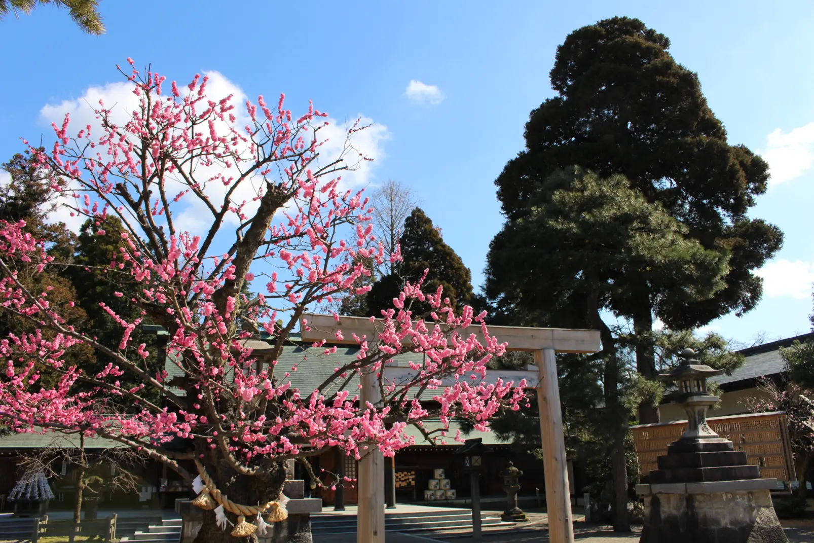 射水神社（高岡古城公園内）-0