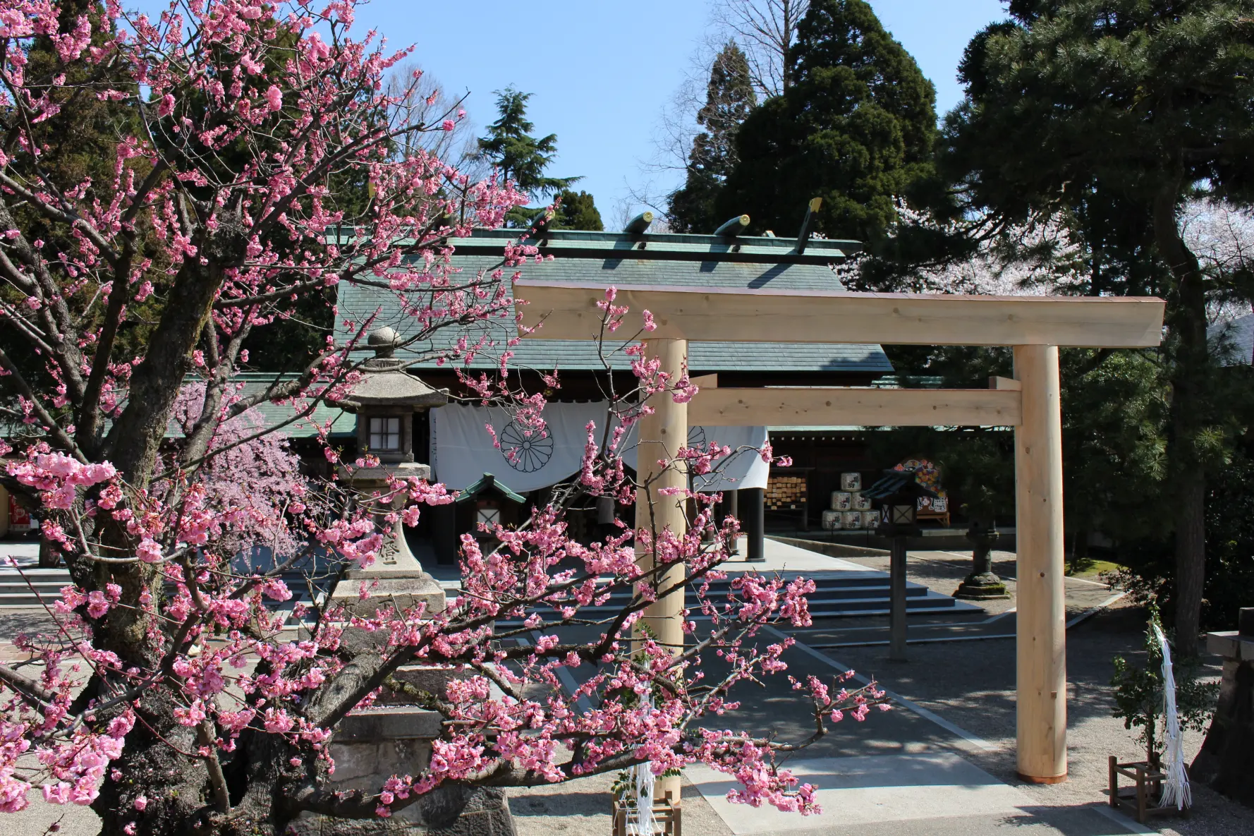 射水神社（高岡古城公園内）-2