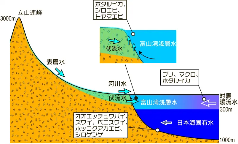 美食材は、富山の独特の地質から。-0