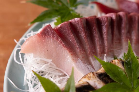 「寒ブリ」といえば氷見!氷見漁港に揚がるブランド魚「ひみ寒ぶり」を食べに行こう! | 特集 | 【公式】富山県の観光/旅行サイト「とやま観光ナビ」