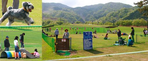 富山県でペット/愛犬と泊まる・遊ぶ・癒される！おすすめ宿＆カフェ＆ドッグラン特集 | 特集 | 【公式】富山県の観光/旅行サイト「とやま観光ナビ」