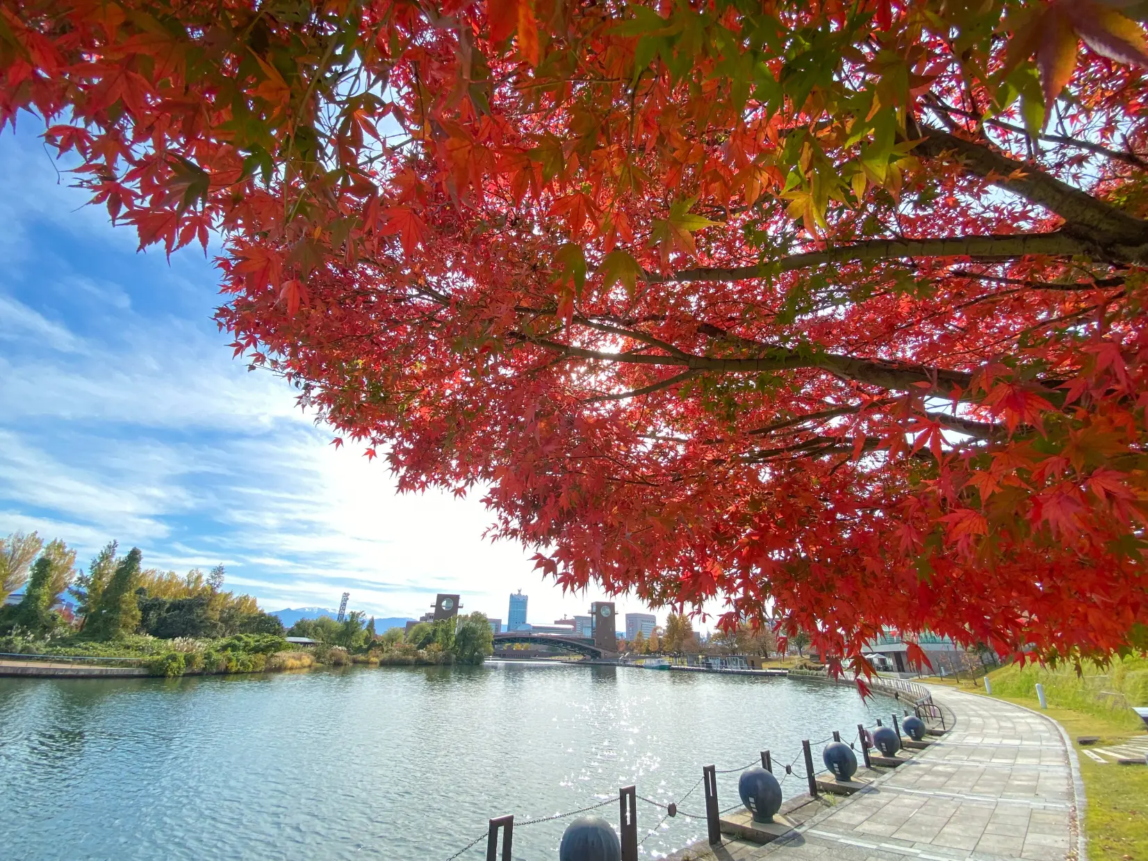 環水公園の四季の魅力-2