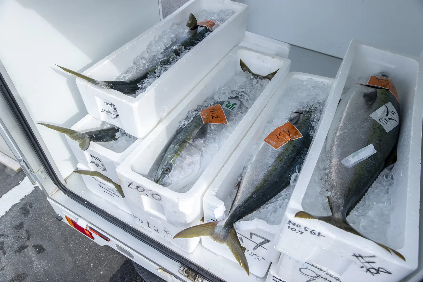 13:30 ｰ ハマオカ海の幸｜【暮らし・水循環】
魚津の水循環によって育まれた地魚を加工-4