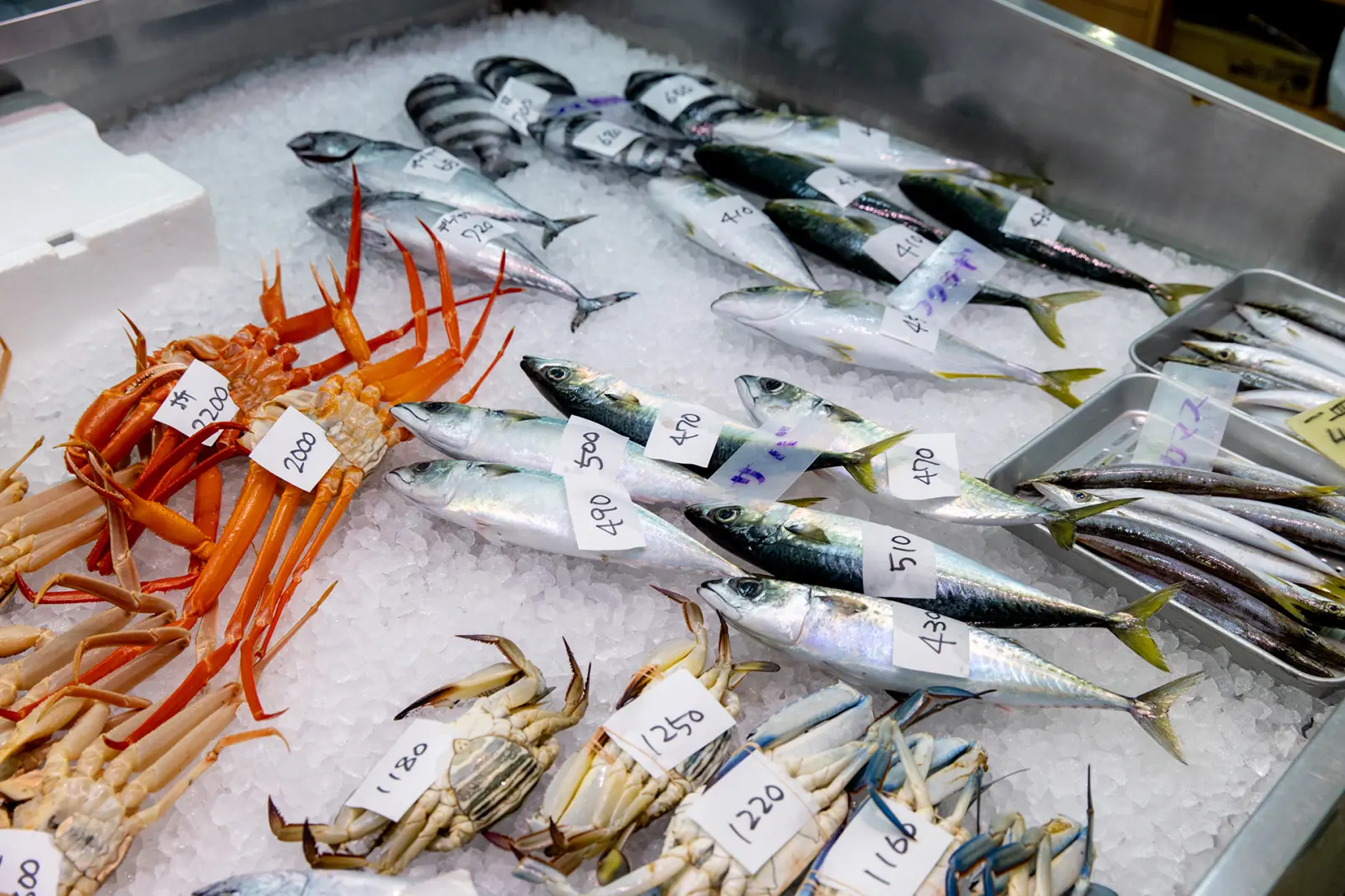 15:00 ｰ 姿鮮魚店｜【暮らし・食文化】
地元の人たちが、日常づかいする鮮魚店-1