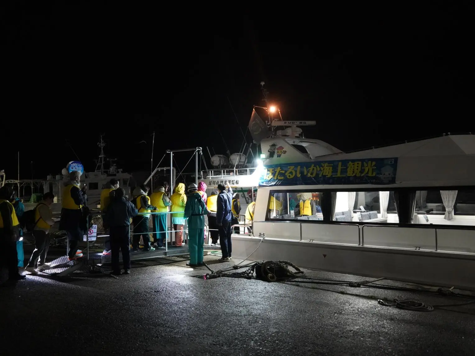 Firefly Squid Fishing Tour - One of the Rarest Marine Sightseeing Tours in the World!-1